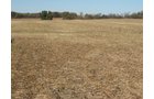 Property photo 48 - 110+/- Acres offered in 4 Tillable Tracts